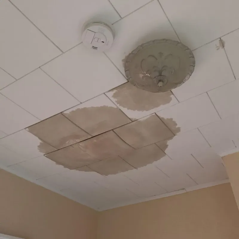 Ceiling Water Damage Repair in Holliston, MA