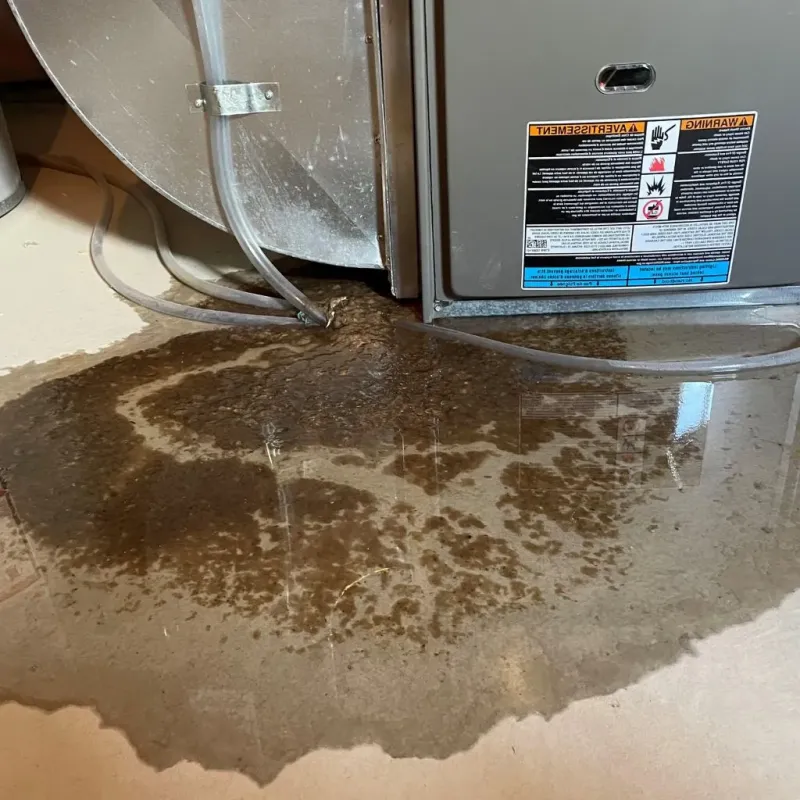 Pipe Burst and Leak Restoration in Holliston, MA